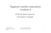 Appareil cardio vasculaire module 2 · 2020. 9. 10. · L'appareil cardio vasculaire - V5 - 25-06-2019 BP - IFAS de St-Quentin - promotion Chagall- module 2 6-I- Anatomie • Le cœur