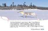 Inventaire aérien du caribou forestier au printemps 2018 ......secteur du réservoir Caniapiscau permettait de dénombrer les caribous forestiers uniquement. L’inventaire effectué