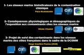 1- Les oiseaux marins bioindicateurs de la contamination chimiqueoiseaux-marins.org/upload/iedit/1/actualites/Colloque/... · 2019. 2. 11. · 1- Les oiseaux marins bioindicateurs