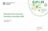 Presentazione standard di PowerPointune note d’information sur les «incidences financières et techniques d’une évaluation des ressources forestières mondiales comparant les
