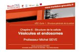 Chapitre 6 : Structure de la cellule Vésicules et endosomesunf3s.cerimes.fr/media/paces/Grenoble_1112/seve_michel/seve_mic… · Chapitre 6 : Structure de la cellule Vésicules et