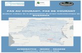PAS AU COURANT, PAS DE COURANT · le projet Busanga risquent d’être très minimes. Le Congo ne détient dans ce projet ... Carrières et des Mines (GECAMINES, 7%), la Société