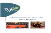 Projet d’étalissement 2018 - 2023 ESAT « LES PINSesat-ajh.fr/sites/esat-ajh.fr/files/upload/20180531_pe_esat.pdf · Pojet d’éta lissement 2018 - 2023 5ESAT « LES PINS »
