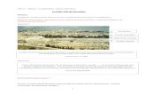 la vieille ville de Jérusalem au patrimoine mondial : « … est …histoire-geographie.ac-dijon.fr/IMG/pdf/La_vieille_ville... · 2019. 7. 17. · - la Via Dolorosa (le chemin de
