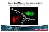 Biomedical Master: Neuroscience track · Brain Development (Module 1) Sensory Functions (Module 2) Neuronal Death and Repair in the CNS (Module 5) Modulation of Synaptic Transmission