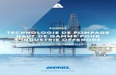ANDRITZ Solutions de pompes pour l'industrie offshoredans l’industrie offshore, principalement pour les applications de levage d’eau de mer. Dans les applications sous-marines,
