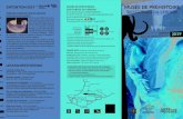 EXPOSITION 2019 MUSÉE DE PRÉHISTOIRE DES GORGES DU …...¢ Digne-les-Bains, Château-Arnoux-Saint-Auban, Seyne-les-Alpes Service communication du Conseil départemental 04 I Photos