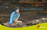 Monitoring de la faune bruxelloise - Bruxelles Environnement...Charroi Forest 30 39 27 25 40 58 40 51 49 51 Meunerie N.o.Hem. 94 68 91 120 162 149 146 151 113 109 Total 178 160 176