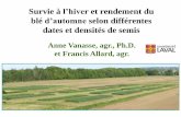 Survie à l’hiver et rendement du blé d’automne selon ... · sur le rendement (Québec, 2015) ab a c e c bc d f c c d g 0 1000 2000 3000 4000 5000 6000 7000 8000 D1 D2 D3 D4