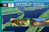 Mettre en valeur le capital naturel : Le soutien que METTRE EN … · 2020. 9. 15. · METTRE EN VALEUR LE CAPITAL NATUREL : LE SOUTIEN QUE L’INITIATIVE REDD+ PEUT APPORTER À L’ÉCONOMIE