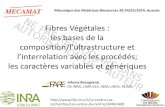 Fibres Végétales : les bases de la · 3.4 Facteurs de forme des fibres végétales des fibres Longueurs et facteur de forme pour des applications de renfort 3.5 Evolution des propriétés