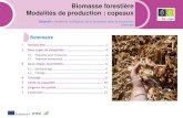 Biomasse forestière Modalités de production : copeauxeforown.ctfc.cat/...1_Biomasse_forestiere_modalite_production_cope… · en bois de destination énergétique. Le bois destiné