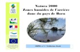 Natura 2000 Zones humides de l’arrière dune du pays de Bornzones-humides-born-buch.n2000.fr/sites/zones-humides...Tome I ~ Etat des lieux 3 juillet 2014 COPIL Natura 2000 5 INVENTAIRES