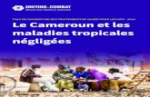TAUX DE COUVERTURE DES TRAITEMENTS DE MASSE POUR LES …€¦ · Le Cameroun Cette fiche-pays résume les progrès du Cameroun concernant la prise en charge des personnes ayant besoin
