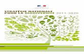 Stratégie nationale pour la biodiverSité 2011-2020 · Stratégie nationale pour la biodiversité 2011-2020 4 1. Stratégie française pour la biodiversité, enjeux, finalités,