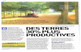 Agroforesterie - Association Française · 2015. 3. 6. · Poitou-Charentes et la Picardie ontfait partdeleur intérêt, mais ... d'arbre, et que les céréales parviennent à maturité