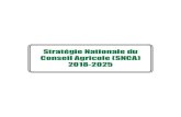 Stratégie Nationale du Conseil Agricole (SNCA) 2018-2025...Stratégie NatioNale du CoNSeil agriCole (SNCa) 2018-2025 7 SIGLES ET ABREVIATIONS AC: agriculture Contractuelle ACC: assistance