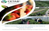 Rapport d’enquête sur le secteur québécois des fraises et … · 2020. 6. 8. · Guy Pouliot, Jean-Julien Plante, Normand Olivier, David Lemire, producteurs de l’APFFQ Photos
