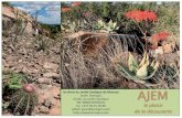 AJEMamisjem.com/images/flyer_AJEM.pdf · 2019. 5. 27. · nouvelle revue: "Cactus & Succulentes« . Sous un format attrayant, cette revue aborde à la fois des thèmes relatifs à