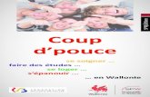 Coup CATÉGORIE d’pouce - Cohésion socialecohesionsociale.wallonie.be/sites/default/files/coup_de...2012/11/20  · emploi ; • Un emploi « articles 60 et 61 » ; • La recherche