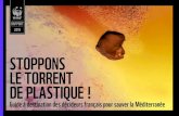 WWF France - STOPPONS LE TORRENT DE PLASTIQUE...2019/06/07  · page 5 | STOPPONS LE TORRENT DE PLASTIQUE !Guide à destination des décideurs français pour sauver la Méditerranée