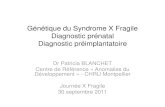 Génétique du Syndrome X Fragile Diagnostic prénatal ...©nétique...Génétique du Syndrome X Fragile • Le retard mental touche 3% de la population générale • 3 garçons pour