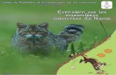 Exposition sur le Chat forestier d’Europe...CROC – Education à l’environnement Exposition sur le Chat forestier d’Europe Page Book 2016 06 03 3/11 Panneaux pédagogiques «