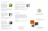 Champs d'activités Information Réseaux et Stratégie …ingenierie.larantides.com/depliant_bro.pdf · 2016. 7. 19. · proposent des niveaux de solutions toujours plus avancées