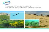 Programme de l’UICN en Afrique du Nord 2013-2016...Programme Global de l’UICN 2013-2016 et des recommandations issues du Forum des Membres de l’UICN en Afrique du Nord qui a