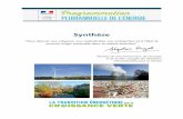 1 - Synthèse - Connaissance des Énergies...Synthèse "Pour donner aux citoyens, aux collectivités, ... • Le projet de la France : mener à bien la transition vers un système