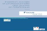 Insertion sociale et professionnelle des jeunes en Martiniquemartinique.drjscs.gouv.fr/.../pdf/focus-sante1-avril2016.pdf · 2016. 7. 11. · Chiffres en gras : différence significative