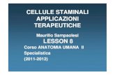 New Corso ANATOMIA UMANA II Specialistica (2011(2011-2012) … · 2011. 11. 3. · CELLULE STAMINALI APPLICAZIONI TERAPEUTICHE Maurilio Sampaolesi LESSON 8 Corso ANATOMIA UMANA II
