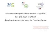 Préconisations pour le tutorat des stagiaires bac-pro ASSP ...sbssa.ac-besancon.fr/.../2016/09/guide_bac_pro_ARS...avec les contenus traités en formation « bac pro » et les possibilités