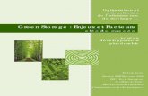 Green Storage : Enjeux et Facteurs clés de succésFrédéric Laura Mastère MSIT Executive 2009 HEC - Ecole Supérieure des Mines de Paris : « Management des Systèmes d’Information