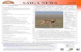 Sayga News7 2008 rus - Saiga Conservation Alliancesaiga-conservation.org/wp-content/uploads/2015/03/Russian_Issue_7.pdfлето 2008: выпуск 7 Saiga News Продолжение