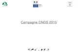 Campagne CNDS 2015 - Ariège · Enveloppes CNDS 2015 - 5 % sur l’enveloppe globale / CNDS 2014 – 2014 : 267 159 € + 36 000 € « Emploi CNDS » = 303 1 59 € – 2015 : 160