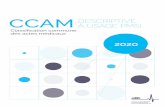 CCAM DESCRIPTIVE À USAGE PMSI - Santé.fr · 2019. 12. 20. · 1 Introduction L’ATIH (agence technique de l’information sur l’hospitalisation) actualise la CCAM descriptive