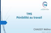TMS Pénibilité au travail - Centre de Gestion du Finistère · • Critère 1 : manutention de plus de 7,5 T cumulées par jour - Etude réalisée sur 1an. Résultats = 135 Tournées.