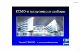 5 - ECMO et transplantation Saintes B LELONG [Mode de … · 30/03/2017 2 Introduction Extra Corporeal Membrane Oxygenation Système d’assistance circulatoire et respiratoire léger