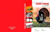 Biologie, chasse et aménagement DINDON SAUVAGE · 1-16 Le retour du dindon sauvage La capture en nature et la relocalisation de dindons sauvages – La propagation artificielle ...