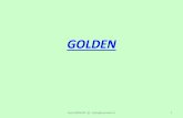 GOLDENeec-chatterie-france.fr/wp-content/uploads/2018/11/4a... · 2018. 11. 12. · Certains chats présentent un fond de robe « jaune poussin à doré ». On les appelle « golden