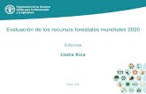 Informe Costa Rica - Food and Agriculture Organization · 2020. 7. 16. · Informe FRA 2020, Costa Rica 2 La FAO ha estado monitoreando los bosques del mundo en intervalos de 5 a