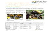 EN SAVOIR PLUS SUR LES ABEILLES… · En savoir plus sur les abeilles… Mini-guide d’accompagnement au protocole « Abeilles solitaires » 2013 Opercule en mortier (terre / boue)