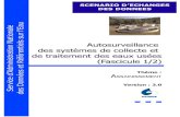 Autosurveillance des systèmes de collecte et de traitement ...€¦ · Autosurveillance des systèmes de collecte et de traitement des eaux usées (Fascicule 1/2) Thème : ASSAINISSEMENT