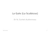 La Gale (La Scabiose) - Biomycologie · La gale • 300 millions de personnes/an dans le monde • Prévalence maisons de retraite 6,6 %, longs séjours 14 % • Laboratoire hôpital