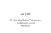 New La gale - SOMETRAV-PACA.org · 2019. 11. 27. · La gale Dr Nathalie Quiles Tsimaratos Hôpital saint joseph Marseille . Ectoparasitoses •Poux •Gale •Oxyures . Gale •Prurit