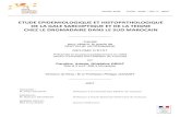 New ETUDE EPIDEMIOLOGIQUE ET HISTOPATHOLOGIQUE DE LA …camelides.cirad.fr/fr/science/pdf/these_driot.pdf · 2013. 3. 4. · DE LA GALE SARCOPTIQUE ET DE LA TEIGNE CHEZ LE DROMADAIRE