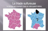 La triade sulfureuse - u-bourgogne.fr...• 1992: des élections en jachères; un vote éclaté entre protestation, décomposition et démobilisation. Sur fond de crise des partis