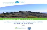 PUY DE MARMANT - CEN Auvergnecen-auvergne.fr/sites/default/files/fichiers/dossier_de... · 2018. 11. 22. · Le puy de Marmant fonctionne en réseau avec les coteaux voisins (puy