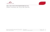 BILAN ENVIRONNEMENTAL Sites miniers du Puy-de-Dôme · 2012. 5. 31. · • Chapitre 11 : les conclusions de l’analyse environnementale des sites du Puy-de-Dôme, accompagnées